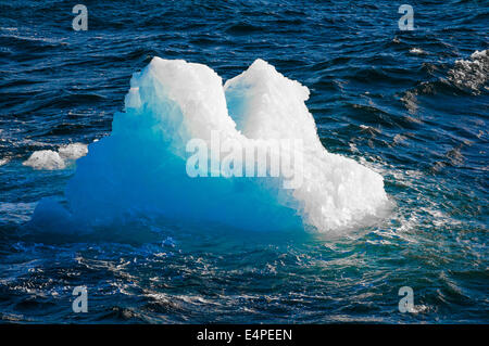 Eisberg, Half Moon Bay, Süd-Shetland-Inseln, Antarktis Stockfoto