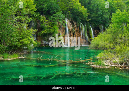 Wasserfall, Nationalpark Plitvicer Seen, Plitvice Jezera, Lika-Senj, Kroatien Stockfoto