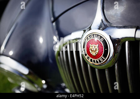 Emblem auf Marineblau Jaguar Mark 1 Limousine Stockfoto