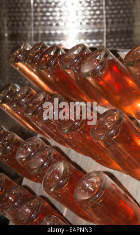 Rose Sekt Gärung in der Flasche. Zerbrach. Englischer Wein Stockfoto