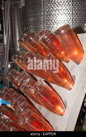 Rose Sekt Gärung in der Flasche. Zerbrach. Englischer Wein Stockfoto