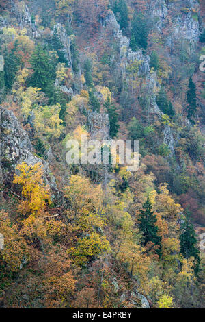 Blick vom Hexentanzplatz Bode Tal (Bodetal), Landkreis Harz, Harz, Sachsen-Anhalt, Deutschland Stockfoto