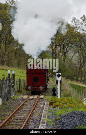 Die Corris Schmalspur Dampfeisenbahn, Powys Snowdonia Mid Wales UK Stockfoto