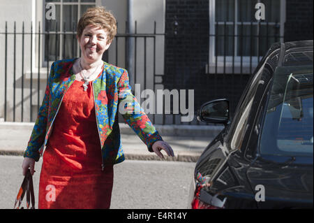 London, UK. 16. Juli 2014. Downing Street, London, UK. 16. Juli 2014. Britischen Regierung Ministern besuchen Downing Street in London am Tag nach einem großen Kabinettsumbildung stattfand. Im Bild: BARONESS STOWELL. © Lee Thomas/ZUMA Draht/Alamy Live-Nachrichten Stockfoto