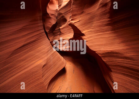 Erodierte Sandsteinformationen im Rattlesnake Canyon in der Nähe von Page, Navajo-Nation, Arizona, USA Stockfoto