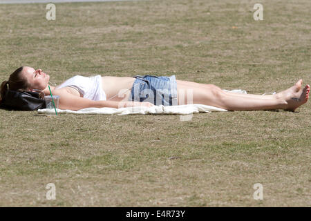 London, UK. 16. Juli 2014. Eine Frau sonnt sich auf dem Rasen an einem heißen Tag in der Hauptstadt Temperaturen zu rechnen sind 27 Grad Celcius Credit erreichen: Amer Ghazzal/Alamy Live-Nachrichten Stockfoto