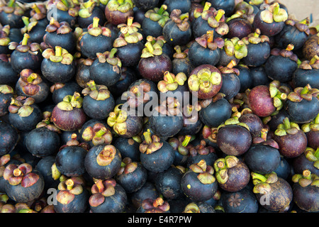 Mangostanfrüchte Stockfoto