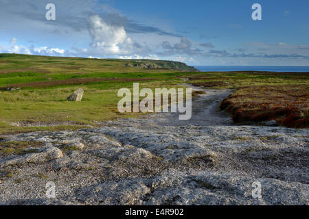 Fußweg vom nördlichen Ende der Lundy Island, Blick nach Süden Stockfoto