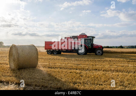 Dies ist die Ernte von Gerste in große Bardfield Essex UK am 15. Juli 2014 die frühen ist.  Die Zugmaschine und Anhänger werden verwendet, um entfernt das geerntete Getreide Wagen.  Der Mähdrescher schneidet die Gerste und dann drischt es um das Korn von der Spreu zu trennen.  Das Korn wird in den Mähdrescher gespeichert, bis es in den Anhänger hinter dem Traktor geladen ist.  Stroh und Spreu fallen aus den Mähdrescher.  Eine separate Maschine sammelt das Stroh und bildet es in Runde Bails wie in den Vordergrund.  Die Gerste wird dann verkauft, entweder um Malz zu machen oder für Tierfutter. Stockfoto