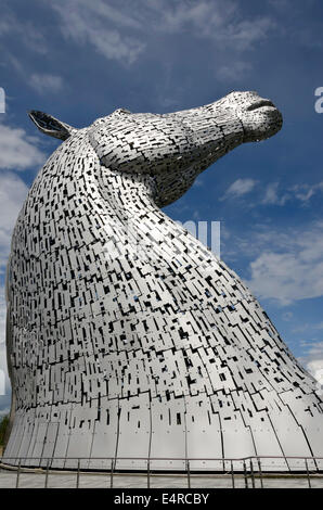 Eines der Kelpies, 30 Meter hohe Sculpture von Clydesdale Pferdeköpfe an The Helix, in der Nähe von Falkirk in Zentral-Schottland. Stockfoto