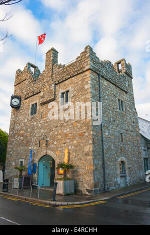 Burg in Dalkey Stockfoto