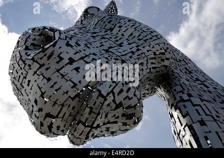 Eines der Kelpies, 30 Meter hohe Sculpture von Clydesdale Pferdeköpfe an The Helix, in der Nähe von Falkirk in Zentral-Schottland. Stockfoto