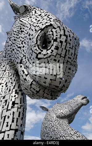 Die Kelpies, 30 Meter hohe Sculpture von Clydesdale Pferdeköpfe an The Helix, in der Nähe von Falkirk in Zentral-Schottland. Stockfoto