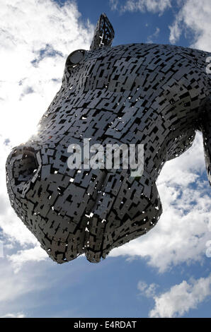 Eines der Kelpies, 30 Meter hohe Sculpture von Clydesdale Pferdeköpfe an The Helix, in der Nähe von Falkirk in Zentral-Schottland. Stockfoto