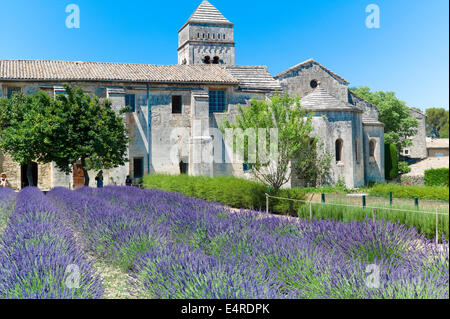 Ein Lavendel-Feld in Saint-Paul Asyl, Saint-Rémy, wo Van Gogh die Künstler von Mai 1889 bis Mai 1890 begangen wurde. Stockfoto