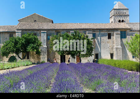 Ein Lavendel-Feld in Saint-Paul Asyl, Saint-Rémy, wo Van Gogh die Künstler von Mai 1889 bis Mai 1890 begangen wurde. Stockfoto