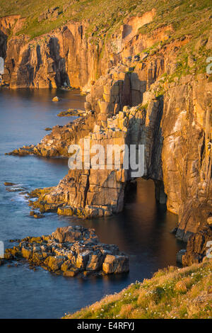 Sonnenuntergang über den Klippen in der Nähe von Lands End, Cornwall, England Stockfoto