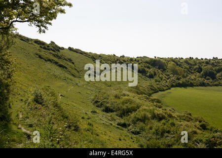 Kreide Downland auf der Seite der Fluss Adur-Tal bei Shoreham. West Sussex. England Stockfoto