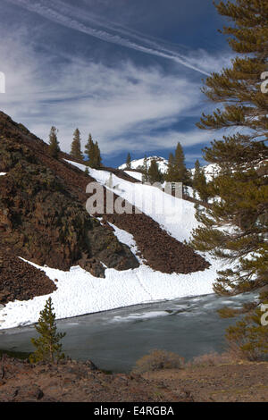 Der Tioga Pass, Yosemite-Nationalpark, Kalifornien, USA Stockfoto