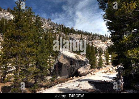 Yosemite Nationalpark, Kalifornien, USA Stockfoto