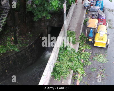 Manila, Philippinen. 16. Juli 2014. Zumindest sind 10 am 16. Juli 2014 wegen Taifun Glenda bringt starke Winde und heftige Regenfälle tot aufgefunden, die Metro Manila verwüstet. Laut Ministerium für öffentliche Arbeiten und Autobahnen (DPWH) gibt es 46 in Quezon Stadt entwurzelt und unzählige Bäume mit Schaden Niederlassungen. Nachdem der Sturm vorüber war, begann die chaotischen Straßen aufräumen. Bildnachweis: Sherbien Dacalanio/Alamy Live-Nachrichten Stockfoto