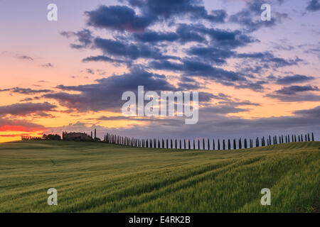 Im Herzen der Toskana, in die Landschaft des Val d ' Orcia befindet sich Agriturismo Poggio Covili Stockfoto