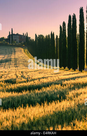 Im Herzen der Toskana, in die Landschaft des Val d ' Orcia befindet sich Agriturismo Poggio Covili Stockfoto
