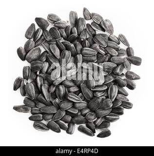 Gruppe von Sonnenblumenkernen auf weißem Hintergrund Stockfoto