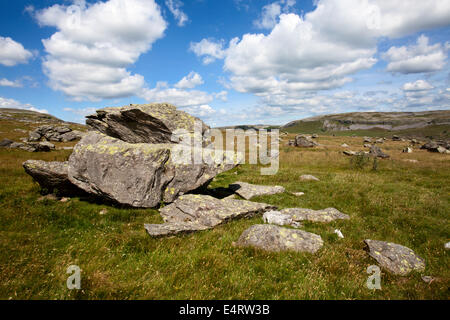 Bei Findlingen im Crummack Dale in der Nähe von Austwick Yorkshire Dales England Stockfoto