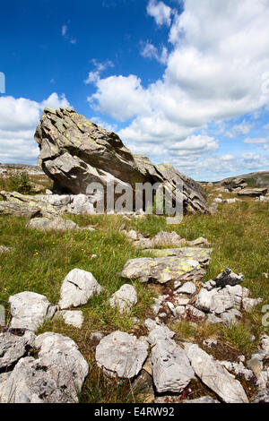 Bei Findlingen im Crummack Dale in der Nähe von Austwick Yorkshire Dales England Stockfoto