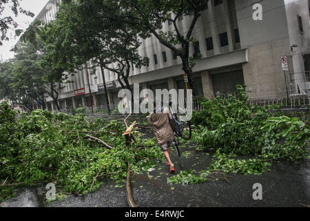 Manila, Philippinen. 16. Juli 2014. Ein Mann trägt sein Fahrrad vorbei an Schutt der Baum am 16. Juli 2014 von Taifun Rammasun gebracht. Taifun Rammasun (lokal bekannt als Glenda) hatte maximale Windgeschwindigkeiten von 150 km/h und Böen von bis zu 185 km/h, wenn es Metro Manila getroffen. Über das Land hatte etwa 400.000 Menschen aus ihren Häusern geflohen und geschützt in Evakuierungszentren, nach der Katastrophe-Vorstandes. Bildnachweis: ZUMA Press, Inc./Alamy Live-Nachrichten Stockfoto