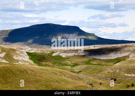 Wolkenschatten auf Pen-Y-Gent aus lange Narbe über Crummack Crummack Dale Yorkshire Dales England Stockfoto