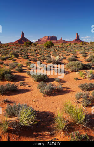 Big Indian, Brigham Grab, König auf seinem Thron und das Schloss Felsformationen, Navajo-Nation, Monument Valley, Utah und Arizona USA Stockfoto