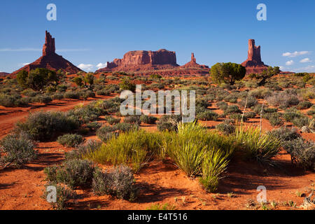 Große indische, Brigham Grab König auf seinem Thron und das Schloss Felsformationen, Monument Valley, Navajo Nation, USA Stockfoto