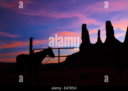 Sonnenuntergang über Pferd und die drei Schwestern Türme, Monument Valley Navajo Nation, Utah und Arizona Grenze, USA Stockfoto