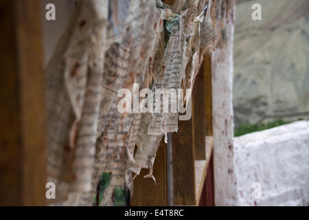 Alte und verwitterte Gebetsfahnen hängen von der Seite der Gompa, Ladakh, Indien. Stockfoto