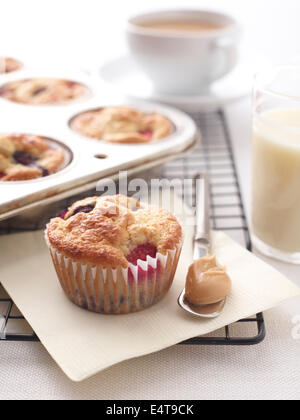 Nahaufnahme des frisch gebackenen Beeren-Muffins in Muffinbackblech mit Messer halten Peanutbutter, Studio gedreht Stockfoto