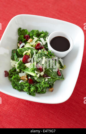 Kale Salat mit Preiselbeeren, Walnüsse, grüne Zwiebeln und Balsamico-Dressing, auf rotem Grund Stockfoto