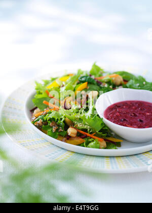 Nahaufnahme von Salat mit Granatapfel-Dressing Stockfoto