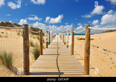 Holzsteg durch die Sanddünen zum Strand, Cascais, Lissabon, Portugal Stockfoto