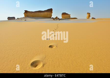 Fußspuren im Wüstenlandschaft, Gouvernement Matruh, libysche Wüste, Sahara Wüste, Ägypten, Afrika Stockfoto