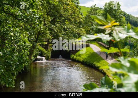 West Yorkshire Canal an einem sonnigen Tag, Stockfoto