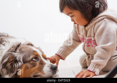Kleinkind Mädchen berühren Australian Shapherd Dog Auge Stockfoto