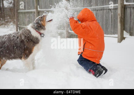 Junge mit Schneeballschlacht mit seinem australischen Schäferhund, Maryland, USA Stockfoto