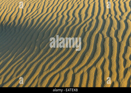 Nahaufnahme der Sanddüne Muster, Matruh, große Sandmeer, libysche Wüste, Sahara Wüste, Ägypten, Nordafrika, Afrika Stockfoto