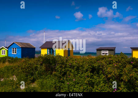 Feld und Beach Huts, Aeroskobing, Aero Insel, Halbinsel Jütland, Region Syddanmark, Dänemark, Europa Stockfoto