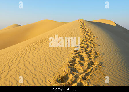 Spuren im Sand Dune, Matruh, große Sandmeer, libysche Wüste, Sahara Wüste, Ägypten, Nordafrika, Afrika Stockfoto
