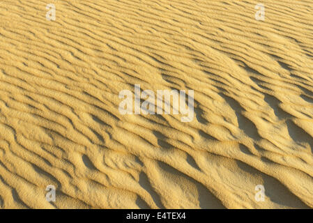 Nahaufnahme der Sanddüne Muster, Matruh, große Sandmeer, libysche Wüste, Sahara Wüste, Ägypten, Nordafrika, Afrika Stockfoto