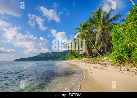 Anse Forbans Strand mit Palmen, Mahe, Seychellen Stockfoto