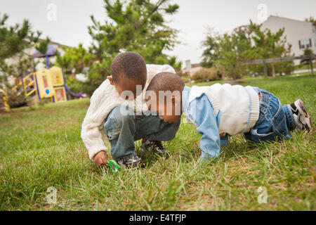 Brüder beobachten Grass unter Lupe im Park, Maryland, USA Stockfoto